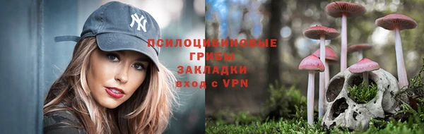 тгк Белокуриха