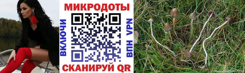Галлюциногенные грибы мухоморы  Бузулук 
