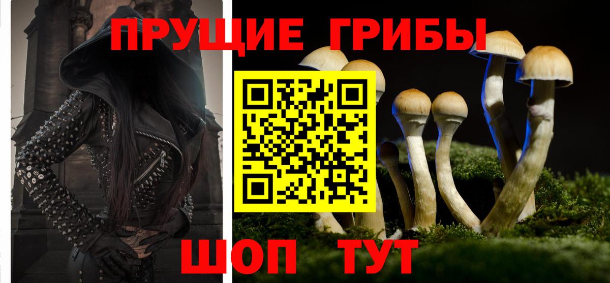 Галлюциногенные грибы Cubensis  Вход с VPN  Галлюциногенные грибы MAGIC MUSHROOMS  Бузулук 